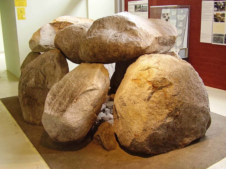 muzee aquarium delfzijl 768x576